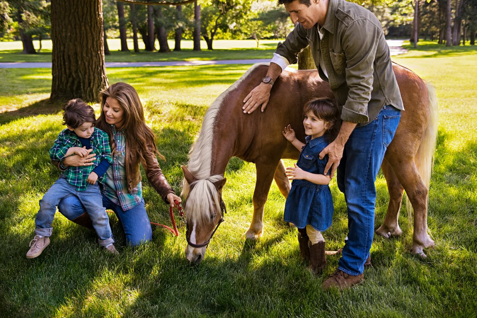 Family enjoying time with a pony in a lush green park, capturing candid moments of kids and adults interacting with a small horse amidst trees and sunlight.
