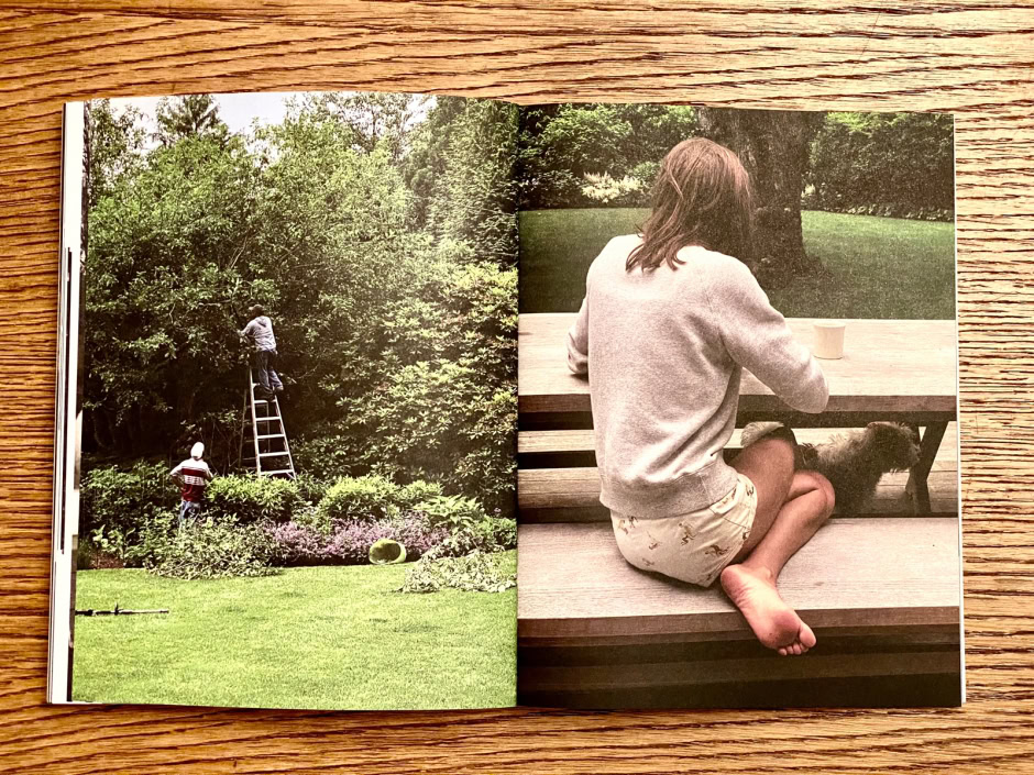 A skilled photographer captures lush green garden scenes with people working outdoors and serene moments of a woman sitting on a wooden bench with a dog, showcasing professional landscape and lifestyle photography.