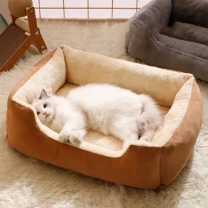 panier douillet pour chat – lit confortable et chaud pour chats d’intérieur