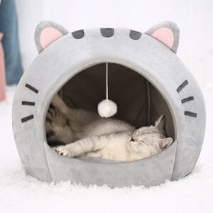 maison cocoon pour chat avec intérieur doux et jouet suspendu