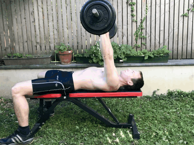 Bench Press