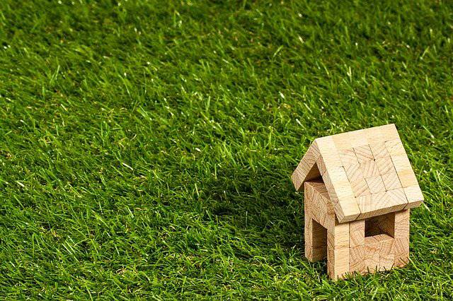 Landscaping and Curb Appeal