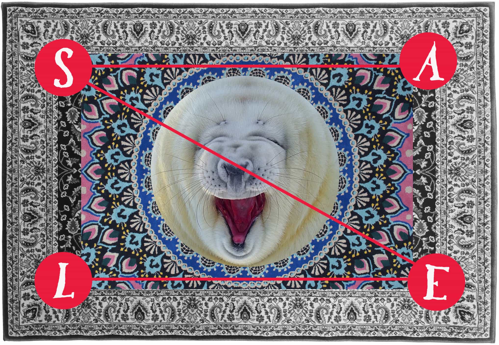 21st Century Carpet Sale