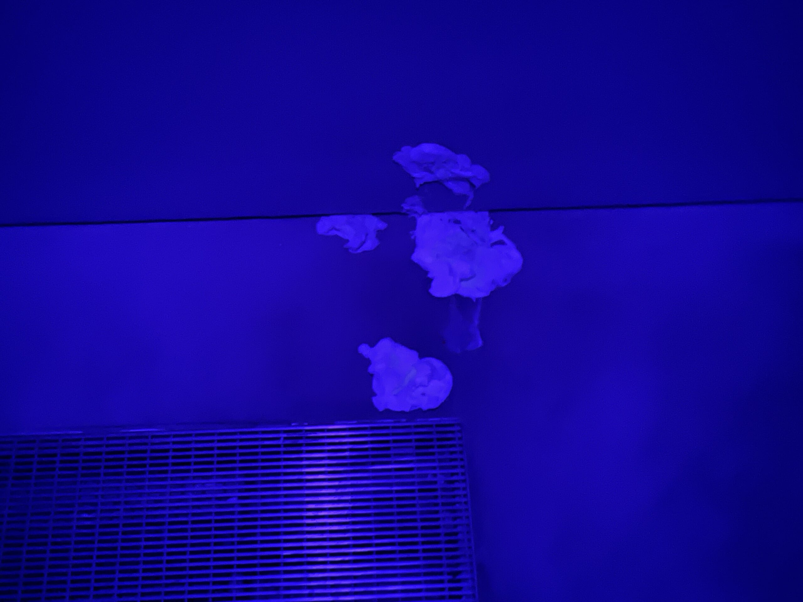Trevor Yeung, Soft Ground, at Gasworks ★★☆☆☆