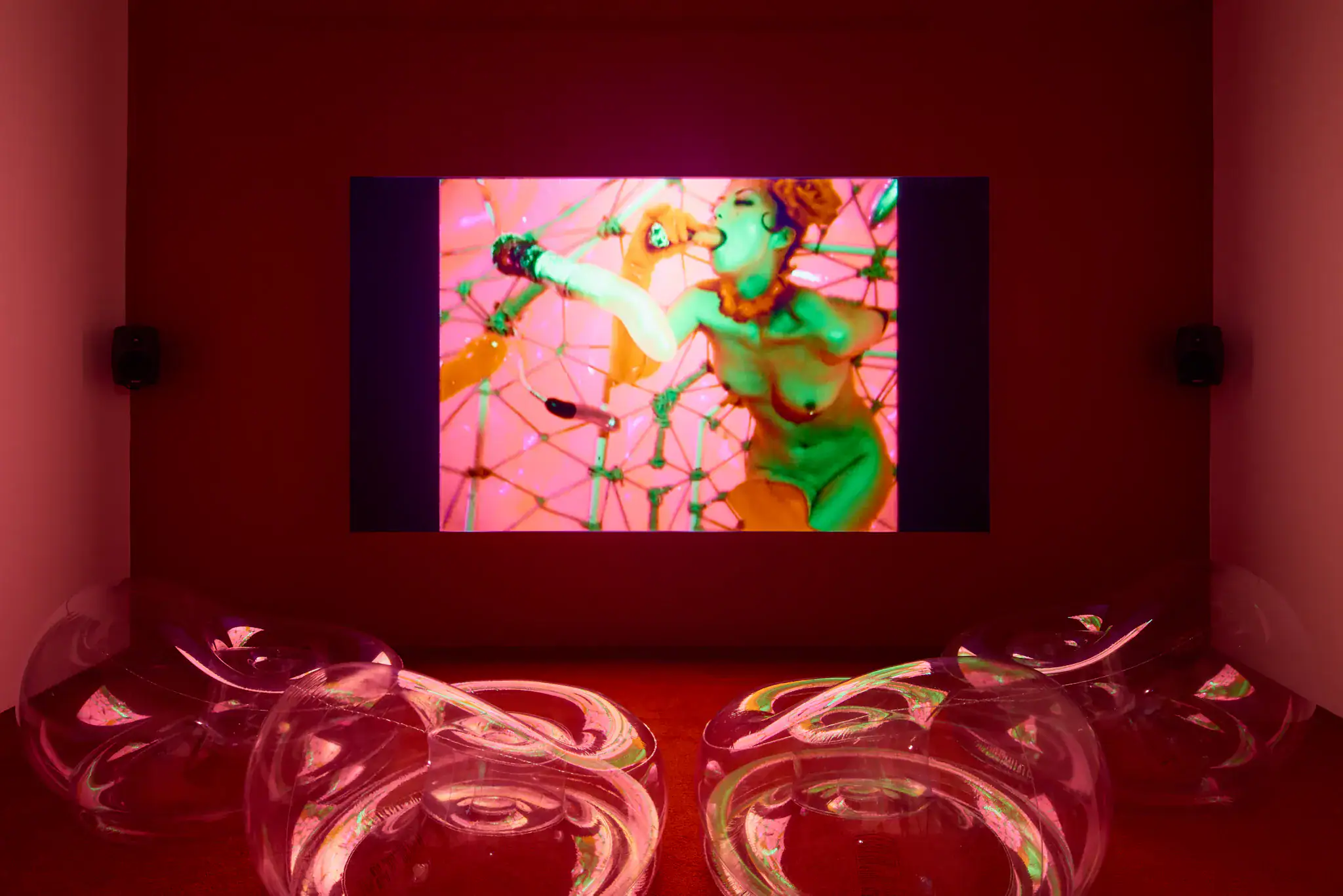 Shu Lea Cheang at Project Native Informant ★★☆☆☆