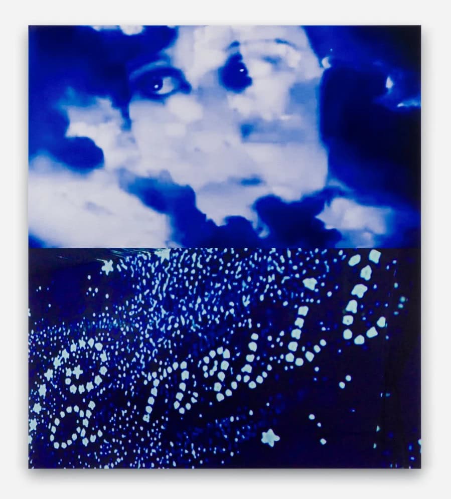 TJ Wilcox, Hiding in Plain Sight at Sadie Coles HQ ★★☆☆☆