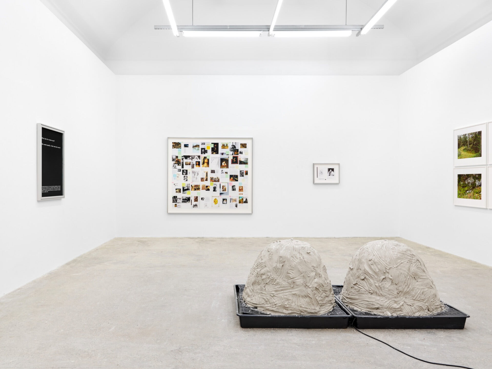 Condo: Birds at Tschudi at Hollybush Gardens ★★☆☆☆