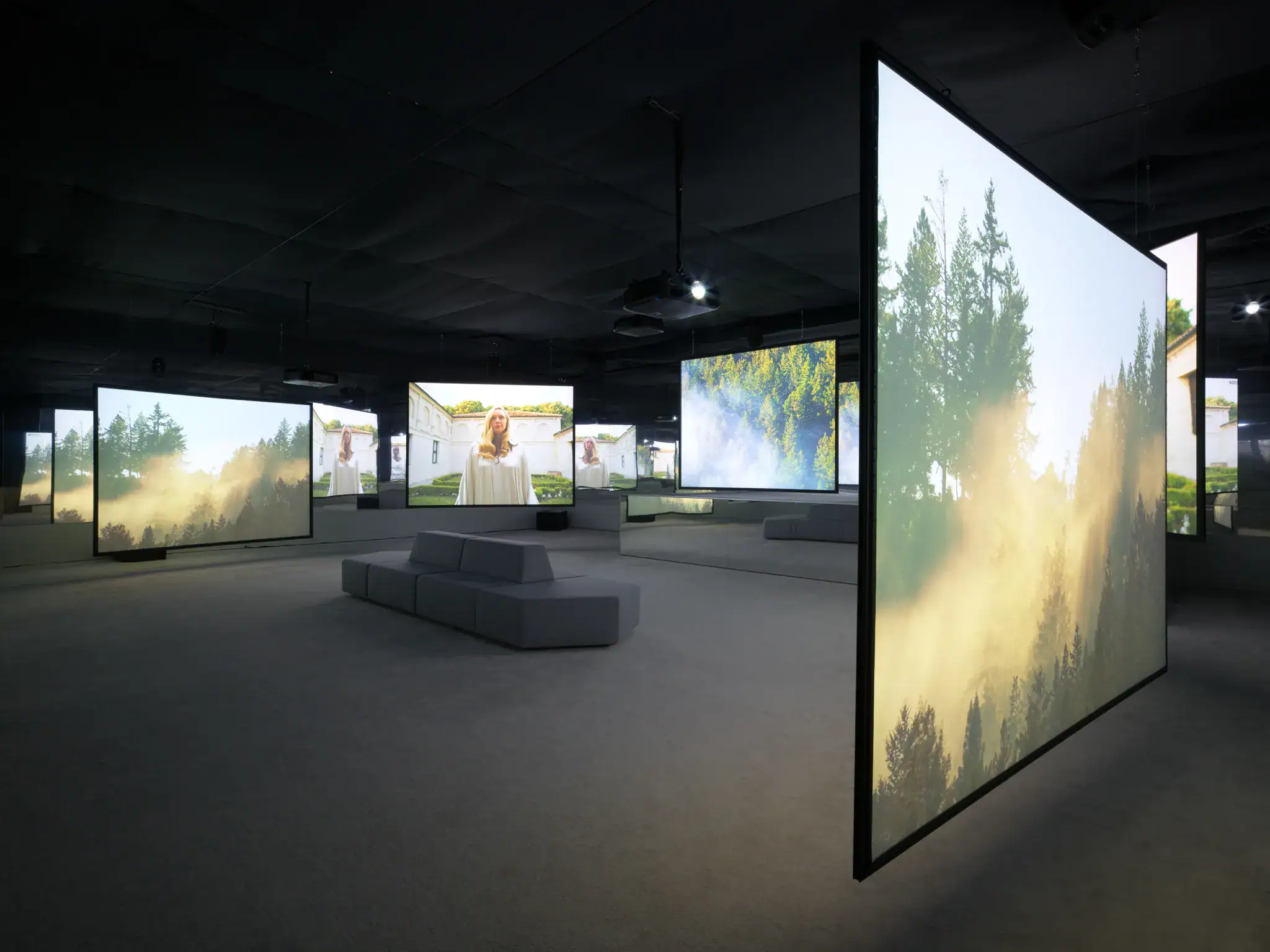 Isaac Julien: All That Changes You. Metamorphosis at Victoria Miro ★★☆☆☆