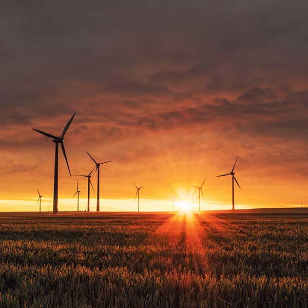 Phase Consulting Environment Image
