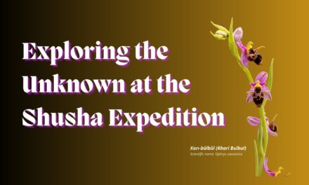 Exploring the Unknown at the Shusha Expedition 2023