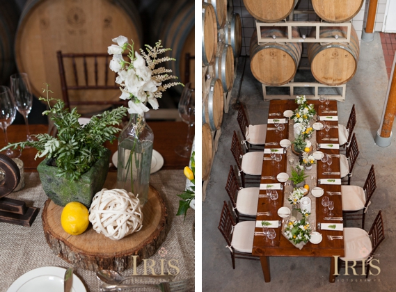 IRIS Photography shoots Best CT Winery Weddings at Jonathan Edwards Winery in North Stonington, CT