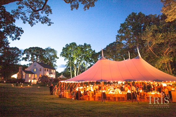 Fairfield County Backyard Tented Wedding with Sperry Tent