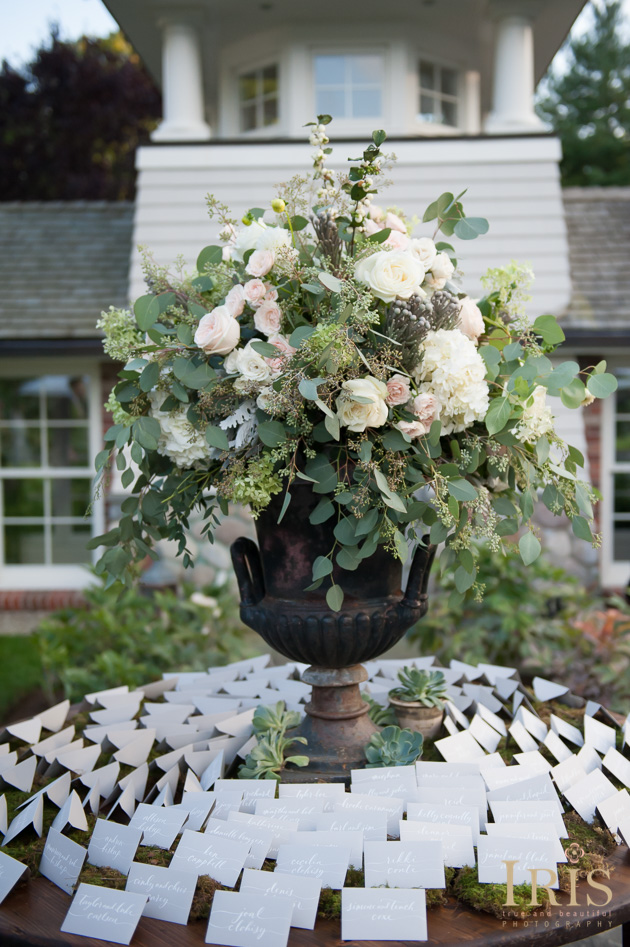 0779_Becca_and_James_new_canaan_engagement_shoot_CT_backyard_2