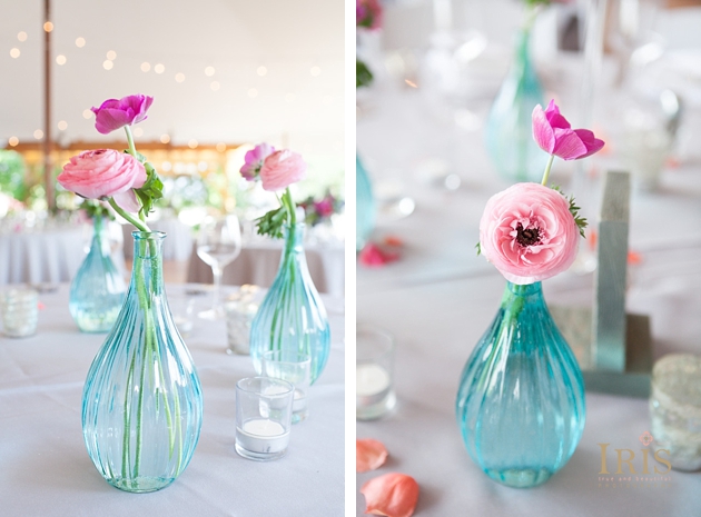 Red Maple Vineyard Wedding 