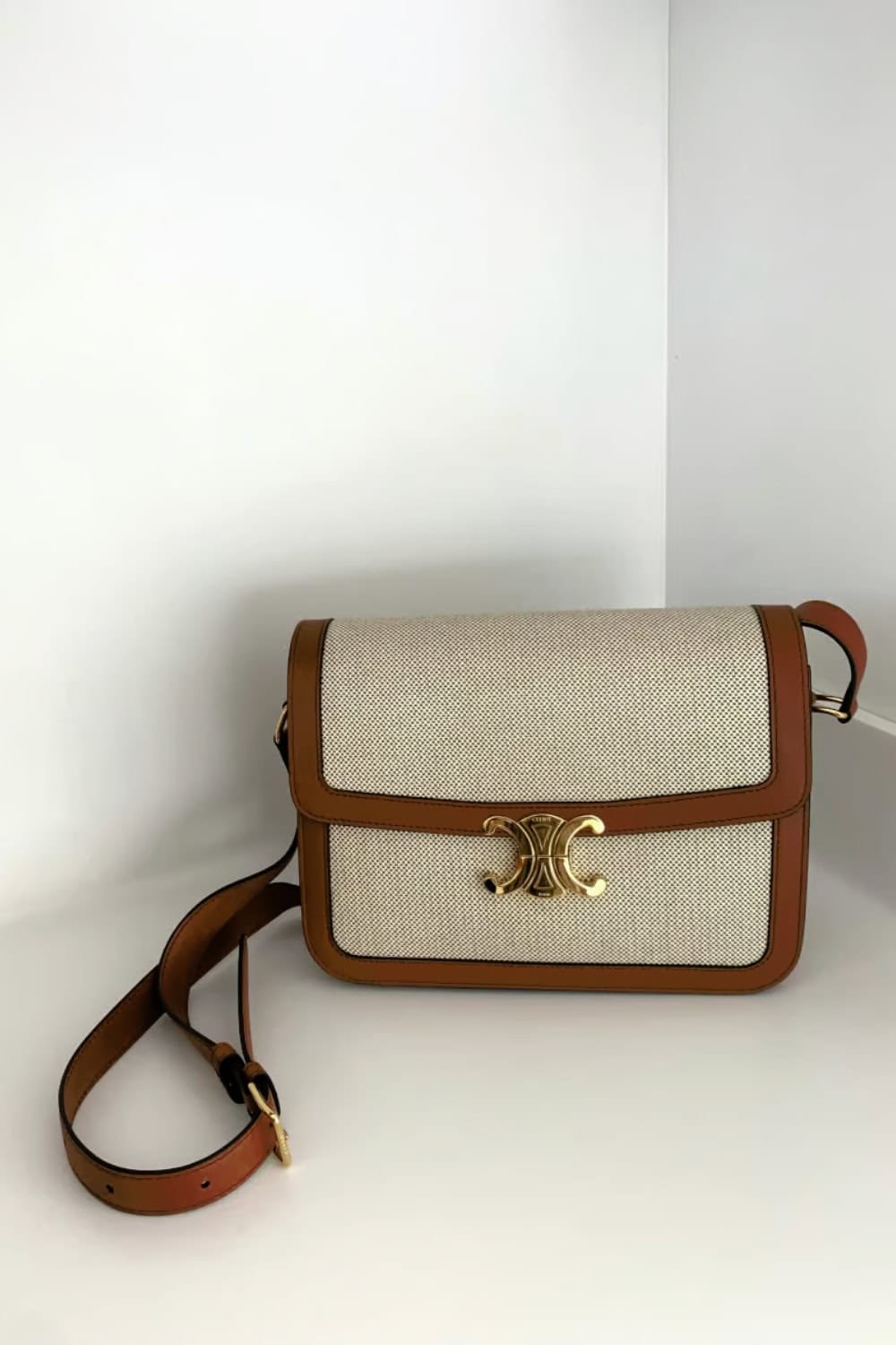 Celine Triomphe Canvas Bag