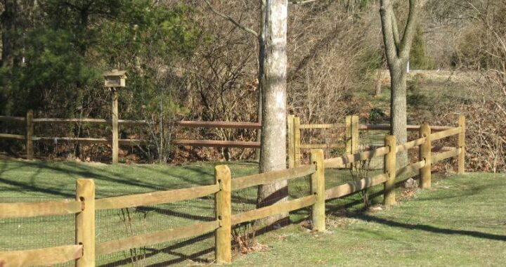 Split Rail with Mesh