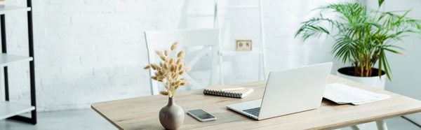 Do Google Sheets Spreadsheets Sell on Etsy? 5 Aesthetic workspace with Planner For All PLR digital planner, laptop, and plant, ideal for entrepreneurs, teachers, and content creators seeking customizable, professional planning tools.