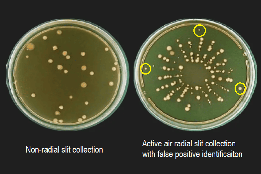 false positives petri dish