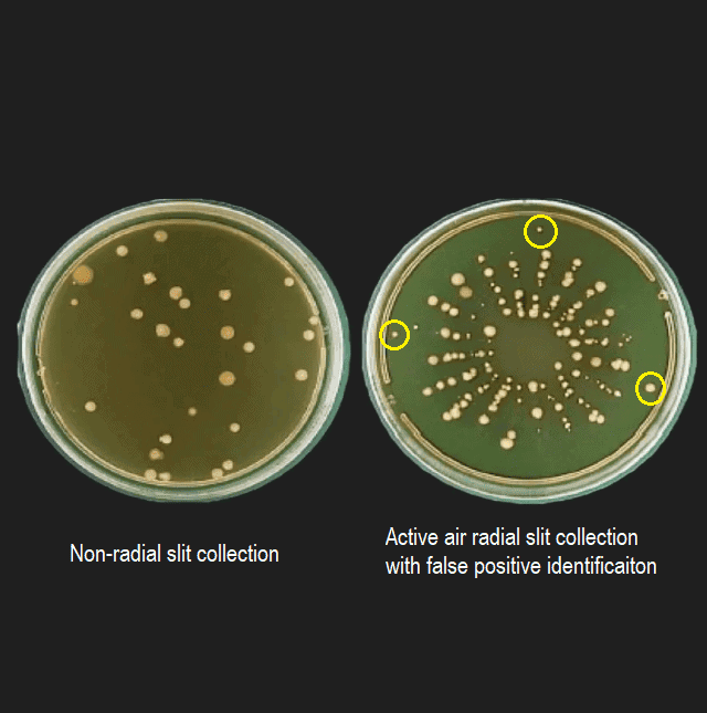 false-positives-petri-dish