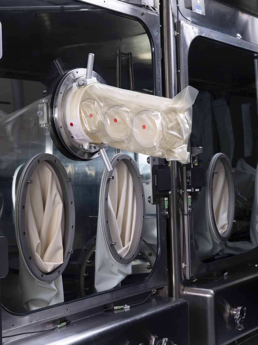 BioCapt® Single-Use STS in isolatore