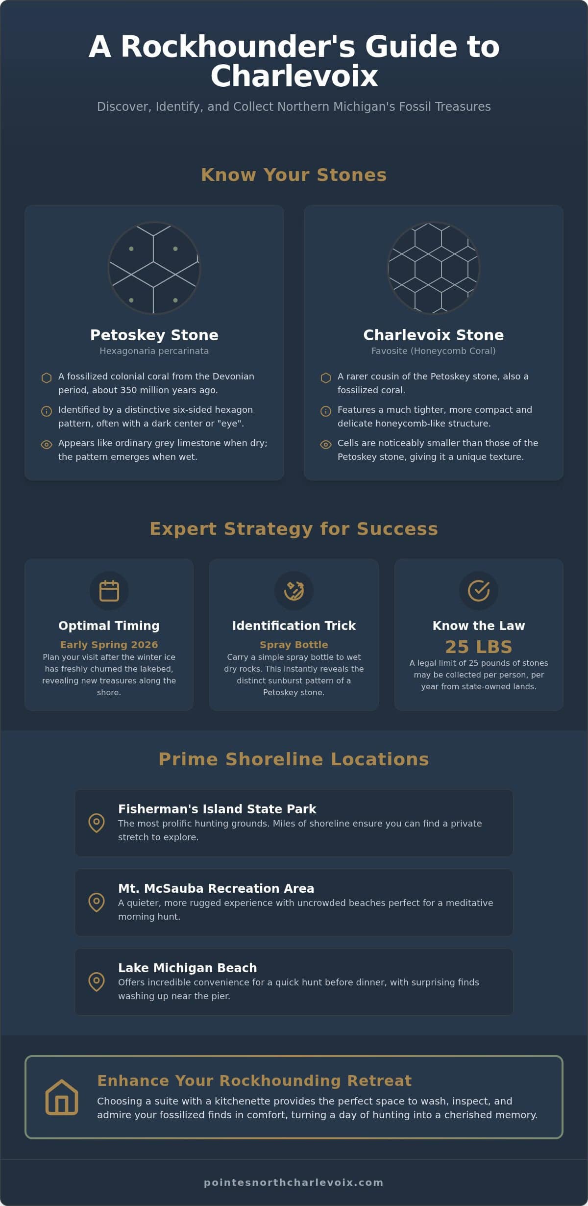 Where to Find Petoskey Stones in Charlevoix: The 2026 Rockhound’s Guide