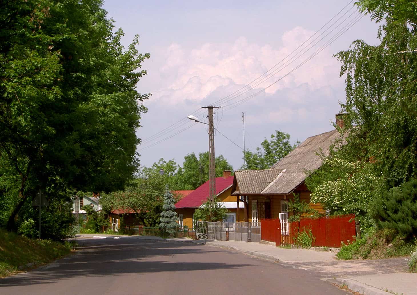 Мальовничий вуличний пейзаж із деревами та житловими будинками у селі.