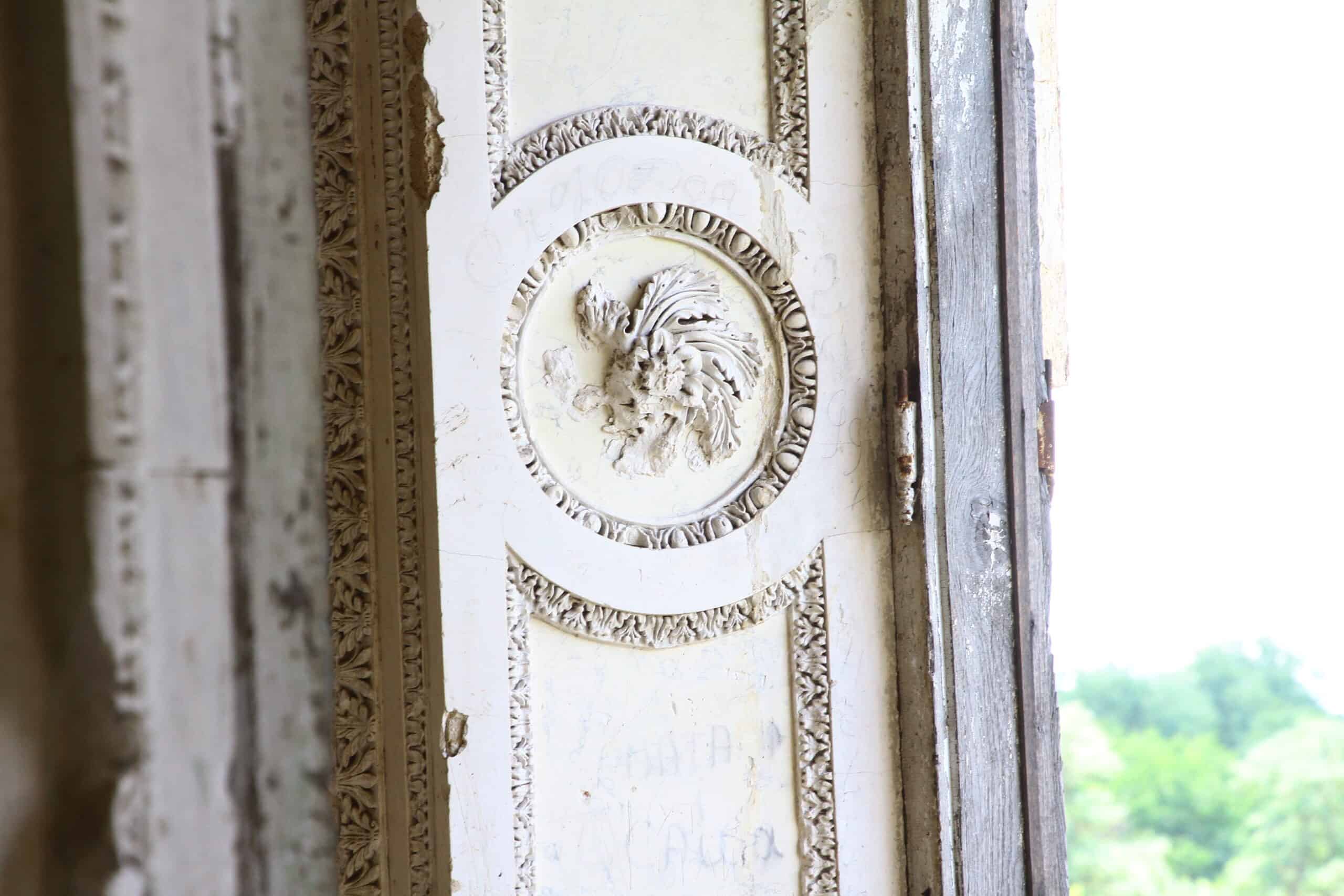 Деталь інтер'єру палацу у Серебринцях з ліпниною та декоративним левом.