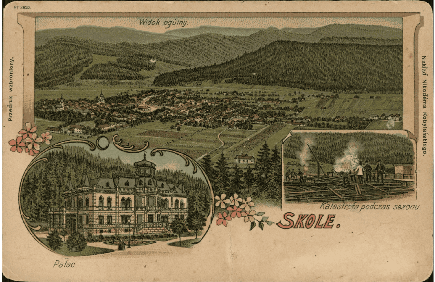 Історична поштова карта з панорамою села, палацом і школою, 1900-ті роки.