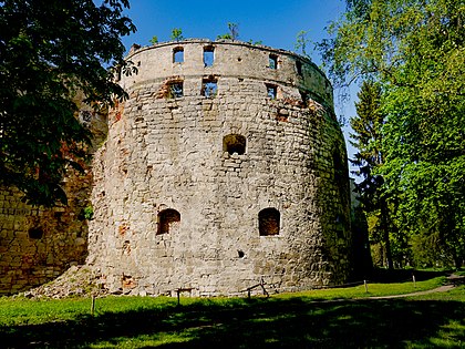 Бережанський замок, історична фортеця в Україні, з кам'яною стіною та зеленим навколишнім парком.