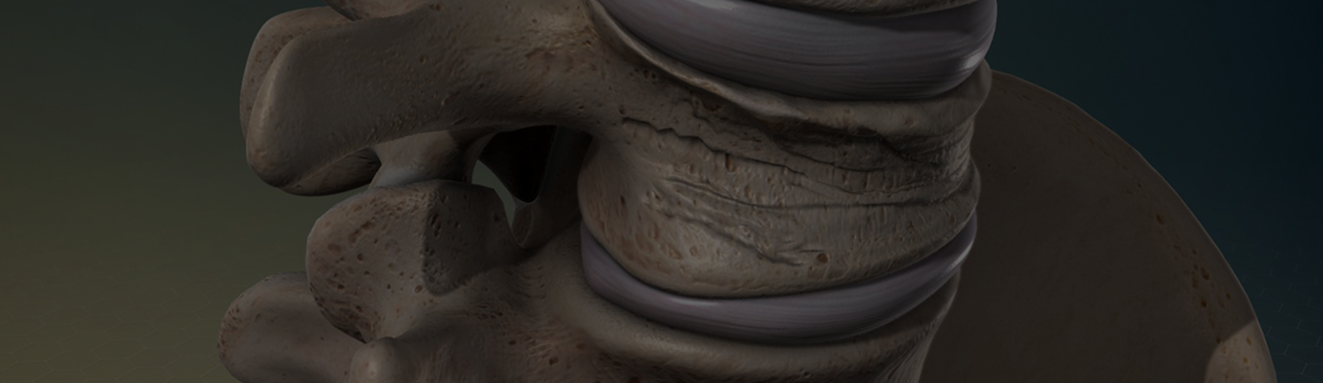 &nbsp;