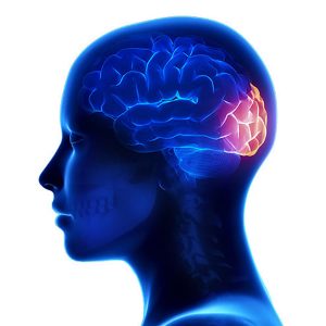 stem cell and regenerative medicine