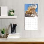 2026 full colour Wall Calendars