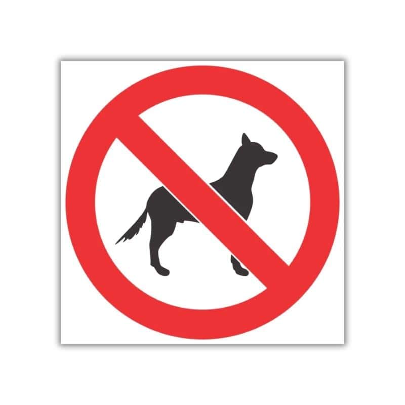 No Dogs Safety Sign (PV20)