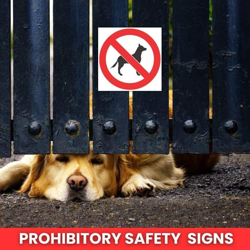 No Dogs Safety Sign (PV20)