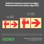 SABS Fire Hydrant and Arrow Right Photoluminescent safety sign (F21)