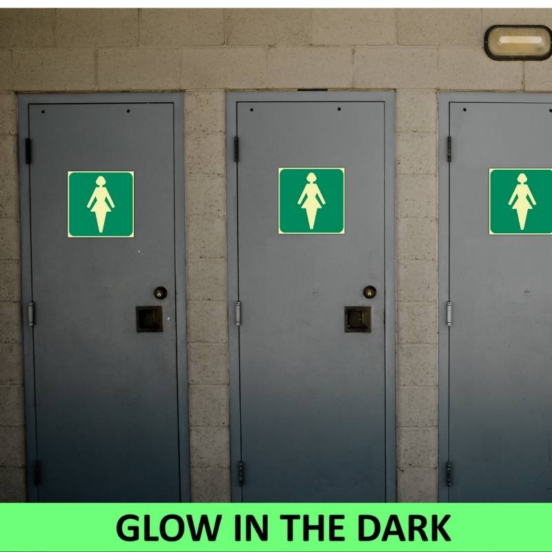 SABS Ladies toilet photo luminescent safety sign (E27)