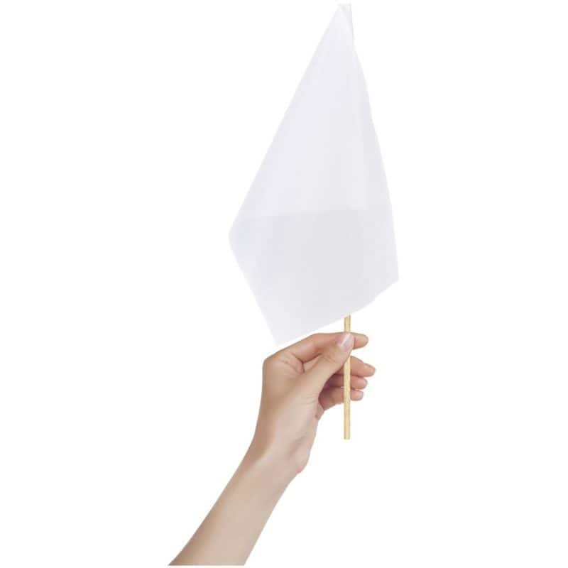 Small Hand Flag 300mm x 200mm