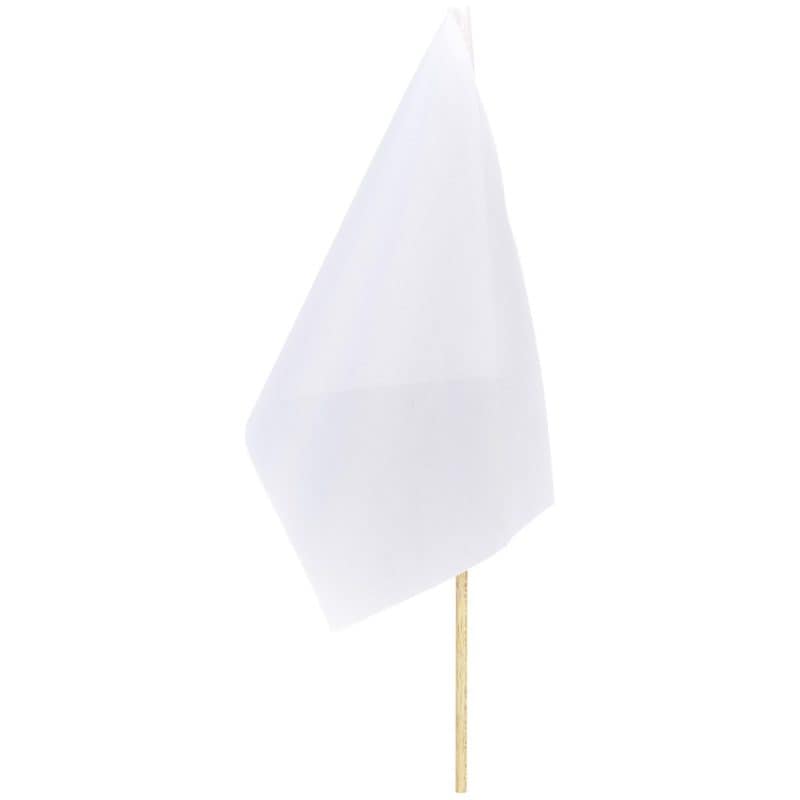Small Hand Flag 300mm x 200mm