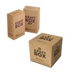 Custom Kraft Box