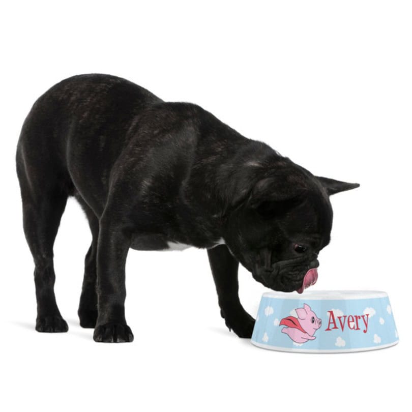 Personalised Plastic Pet Dog Bowl