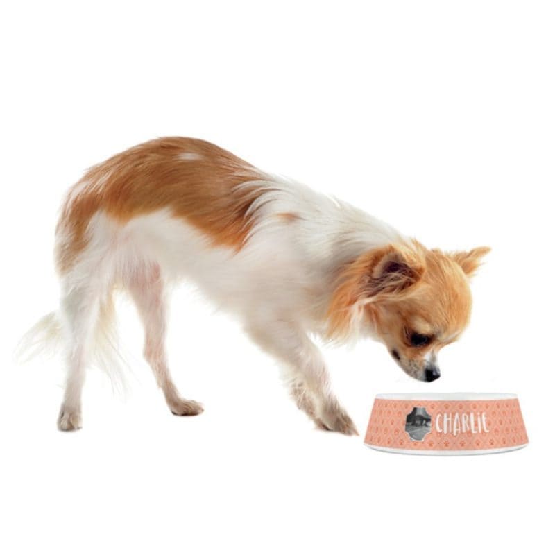 Personalised Plastic Pet Dog Bowl