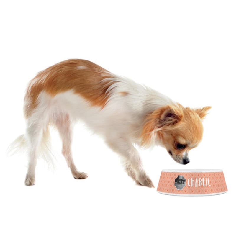 Personalised Plastic Pet Dog Bowl