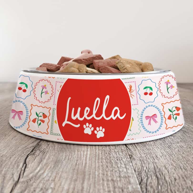 Personalised Melamine Pet Dog Bowl