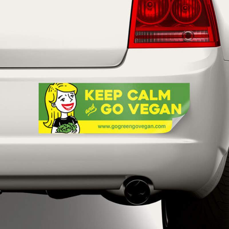 Car Bumper Stickers