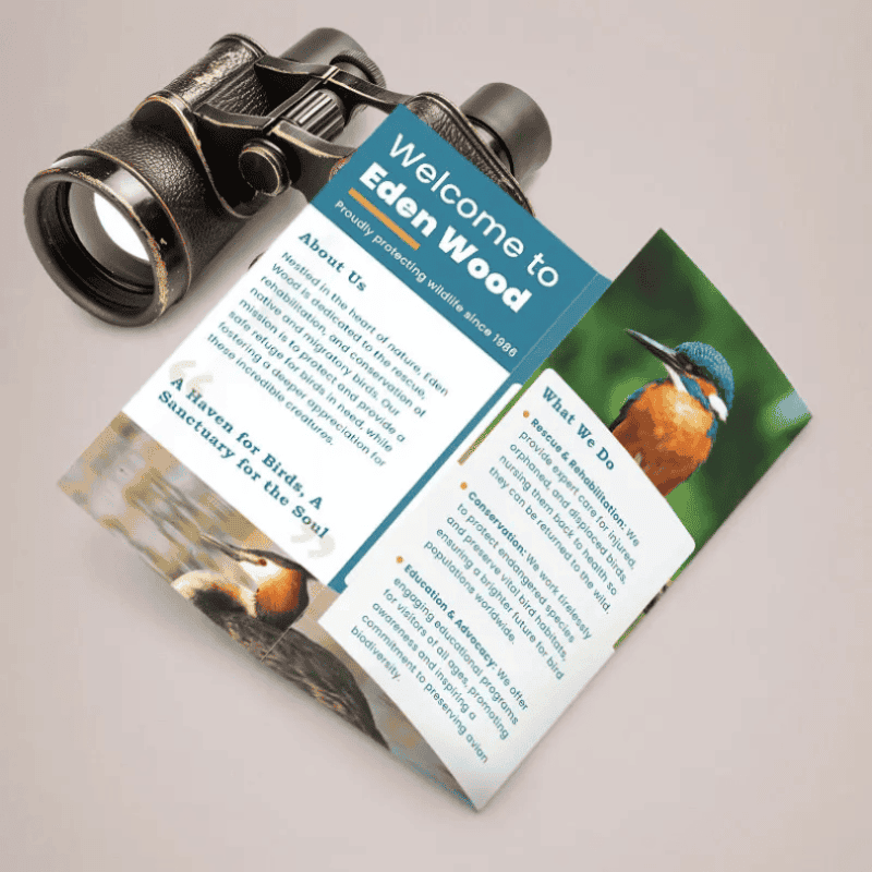 folded pamphlets printing
