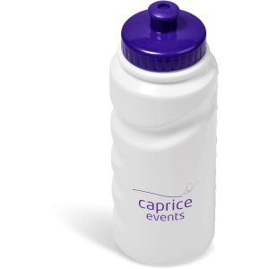 PURPLE Annex Plastic Water Bottle - 500ml - Purple