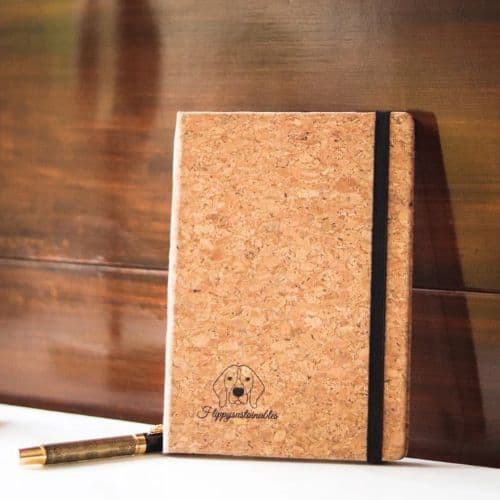eco-friendly notebooks
