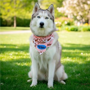 Hoppla Bosco Large Polyester Dog Bandana