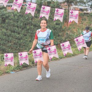 Guidon Bunting Flags