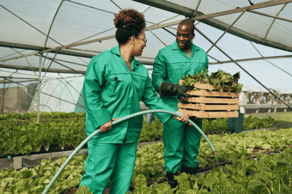 Agriculture & Farming Printing and Branding Services